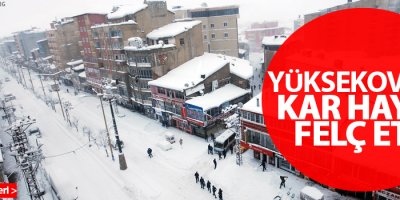 Yüksekova'da kar hayatı felç etti