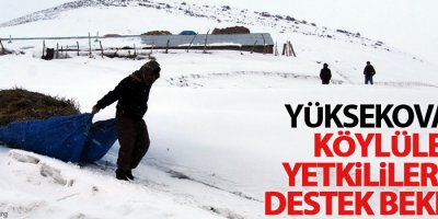 Yüksekova'da köylüler yetkililerden destek bekliyor