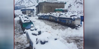 Avuçlarında ısıtıp yuvalarına koyuyorlar