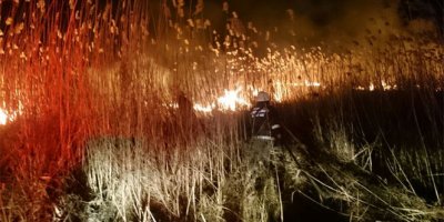 Sazlık alanda yangın çıktı