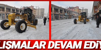 Yüksekova'da kar temizleme çalışması