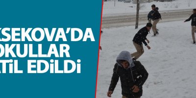 Yüksekova'da Okullar 1 gün süre ile tatil edildi