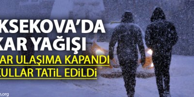 Yüksekova'da kar yağışı hayatı durma noktasına getirdi