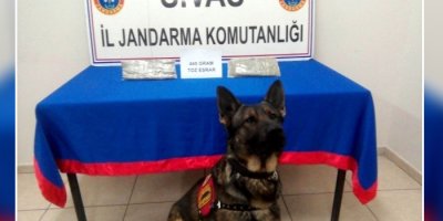 Van'dan İstanbul'a gidiyordu, Sivas'ta yakalandı