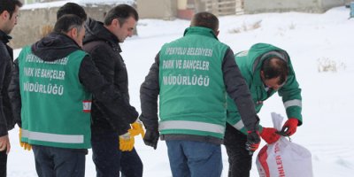 Yaban hayvanları için doğaya yem bırakıldı