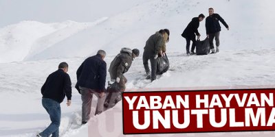 Yaban hayvanları unutulmadı