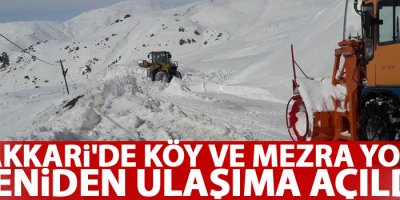 Hakkari'de köy ve mezra yolu yeniden ulaşıma açıldı