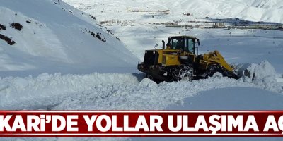 Hakkari’de tüm yollar ulaşıma açıldı
