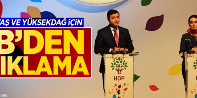 AB'den Demirtaş ve Yüksekdağ için açıklama