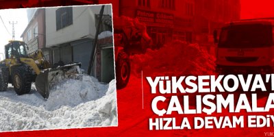 Yüksekova'da karla mücadele çalışması