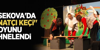 Yüksekova'da 'İki İnatçı Keçi' oyunu sahnelendi
