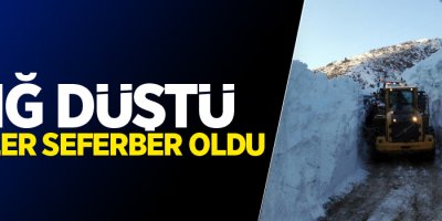 Yüksekova'da Çığ düştü!