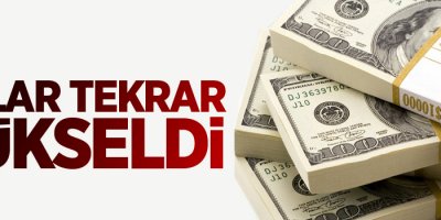 Dolar tekrar yükseldi!