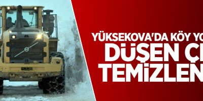 Yüksekova'da köy yoluna düşen çığ temizlendi