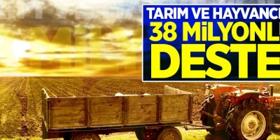 Tarım ve Hayvancılığa 38 milyonluk destek