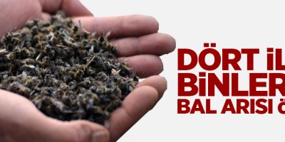 Dört ilde binlerce bal arısı öldü