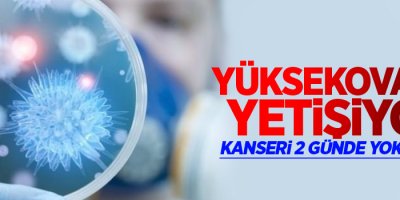 Yüksekova'da yetişiyor, kanseri yok ediyor!