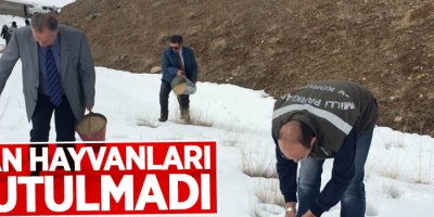 Van’da yaban hayvanları için doğaya yem bırakıldı