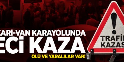 Hakkari-Van karayolunda feci kaza: 1 ölü, 3 yaralı