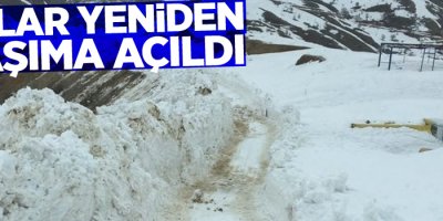 Çığ düşen yollar yeniden açıldı