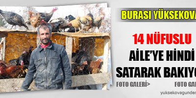 Hindi Satarak Geçimini Sağlıyor