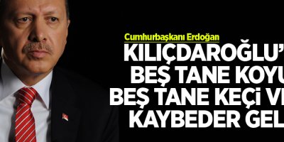Erdoğan: Kılıçdaroğlu’na beş tane koyun, beş tane keçi verin, kaybeder gelir