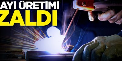 Sanayi üretimi Ocak'ta azaldı