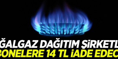 Doğalgaz Dağıtım Şirketleri Abonelere 14 TL İade Edecek