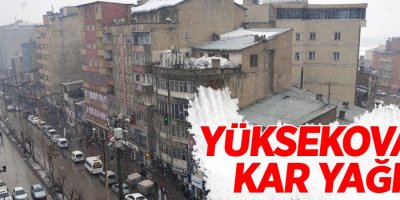 Yüksekova'da kar yağışı