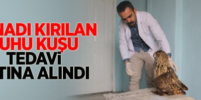 Kanadı kırılan Puhu kuşu tedavi altına alındı