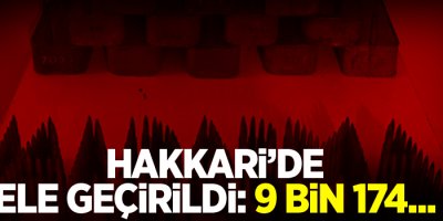 Hakkari'de ele geçirildi