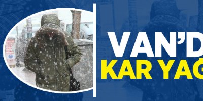 Van'da kar yağışı