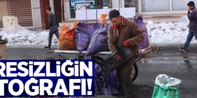 Çaresizliğin Fotoğrafı!