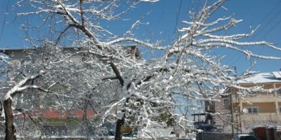 Van'da 49 yerleşim yeri ulaşıma kapandı