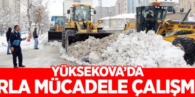 Yüksekova'da karla mücadele çalışması