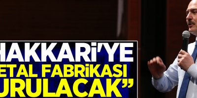 Soylu: Hakkari'ye metal fabrikası kurulacak