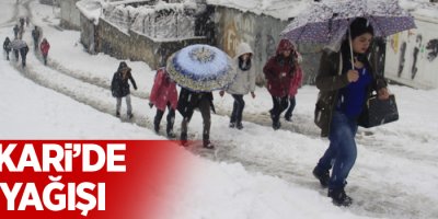 20 köy, 36 mezra yolu ulaşıma kapandı