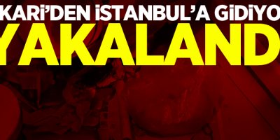 Hakkari'den İstanbul'a gidiyordu, Yakalandı!