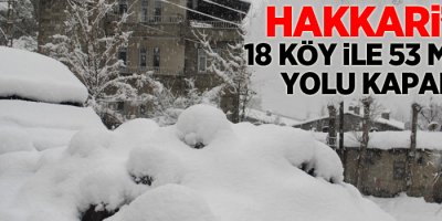 Hakkari’de 18 köy ile 53 mezra yolu kapandı