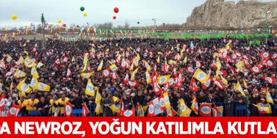 Van'da Newroz, yoğun katılımla kutlanıyor