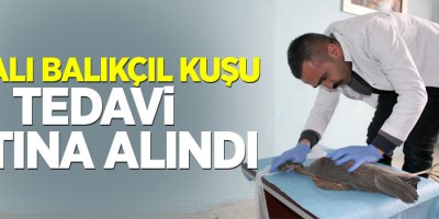 Yaralı Balıkçıl kuşu tedavi altına alındı