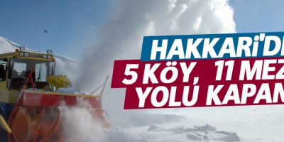 Hakkari’de 5 köy ile 11 mezra yolu kapandı