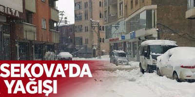 Yüksekova'da kar yağışı