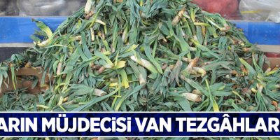 Baharın müjdecisi Van tezgâhlarında