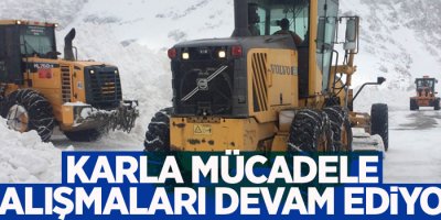 Karla mücadele çalışmaları devam ediyor!