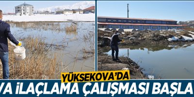 Yüksekova'da Larva İlaçlama Çalışması Başlatıldı