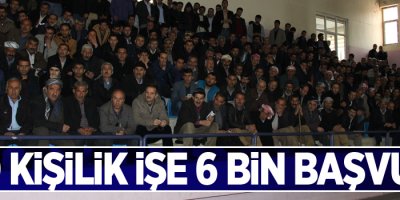 430 kişilik işe 6 bin başvuru