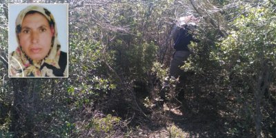 Beslediği boğa katili oldu