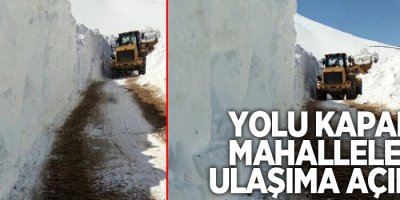 Başkale’de yolu kapalı olan mahalleler ulaşıma açıldı