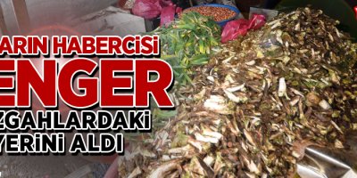 Yüksekova'da Kenger Tezgahlardaki Yerini Aldı